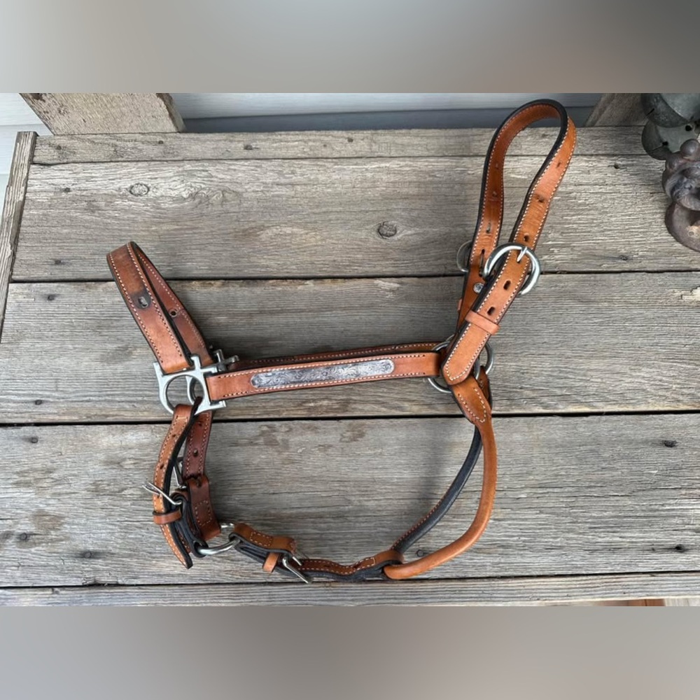 Horse Tack - Leather Show Halter